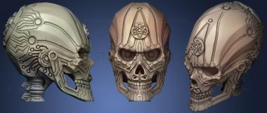 3D model Aspartame Skull (STL)